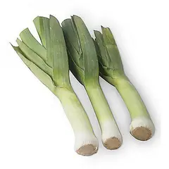 TOTTUS VERDURAS - Poro Tottus