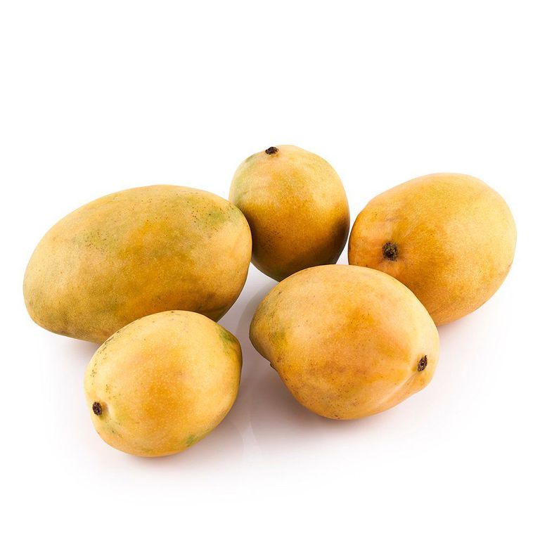 Mango Edward Tottus