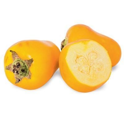 Cocona Tottus