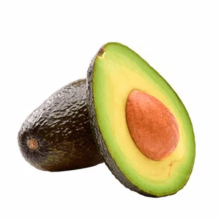 Palta Hass Tottus