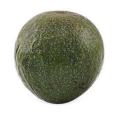 Palta Naval Tottus