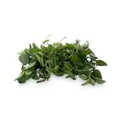 TOTTUS VERDURAS - Hierba Buena Tottus