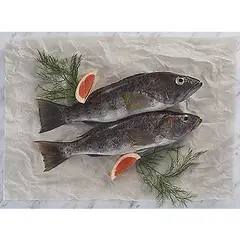 TOTTUS - Cabrilla Entera Fresca x kg