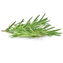 TOTTUS VERDURAS - Romero Tottus