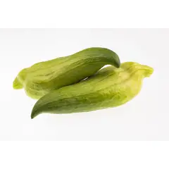 TOTTUS VERDURAS - Caihua Tottus