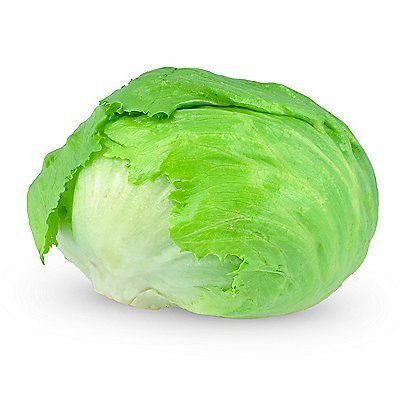 Lechuga Americana Tottus