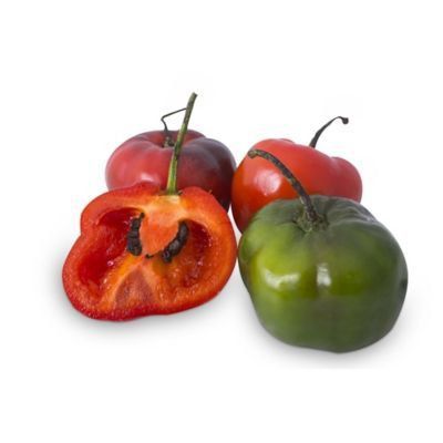 Rocoto Tottus