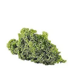TOTTUS VERDURAS - Lechuga Crespa Tottus