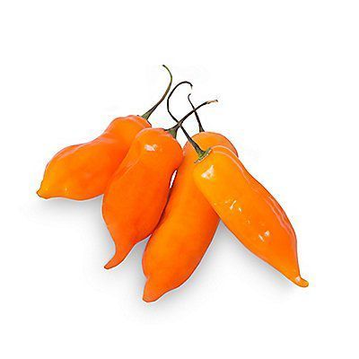 Ají Amarillo Tottus