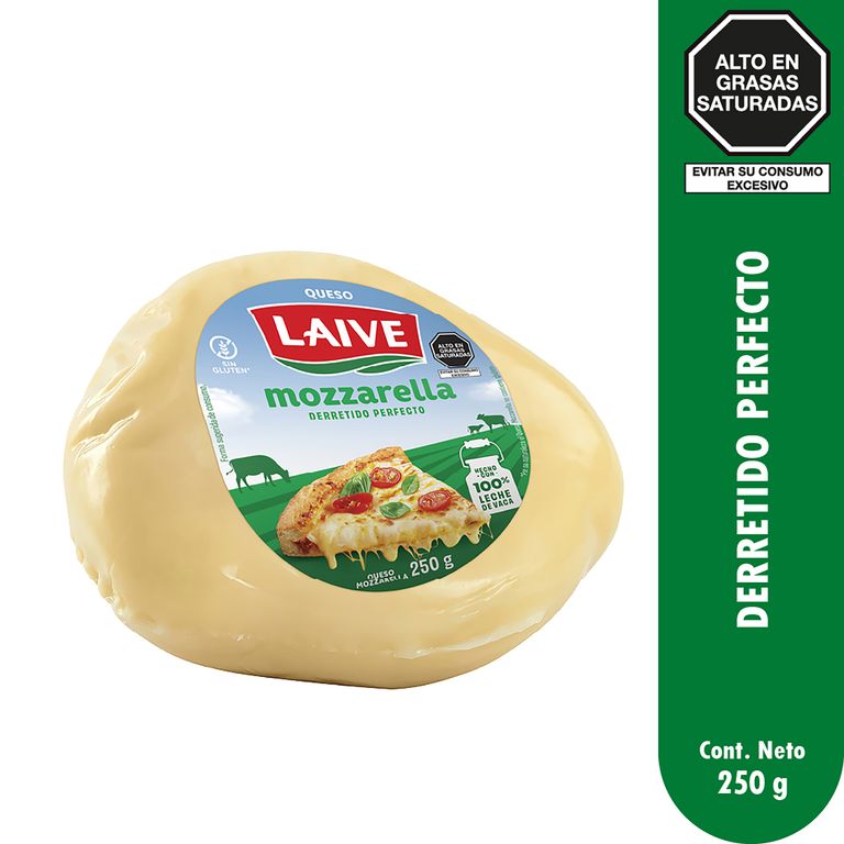 Queso Mozarella Bola Laive Empaque 250 g