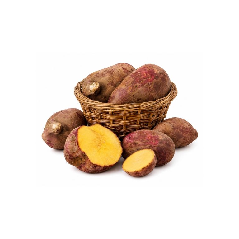 Camote Morado Tottus