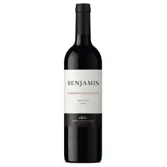 NIETO SENETINER - Vino Cabernet Sauvignon Nieto Senetiner Botella 750 mL