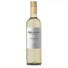 NIETO SENETINER - Vino Chardonnay 12.1° 750 mL