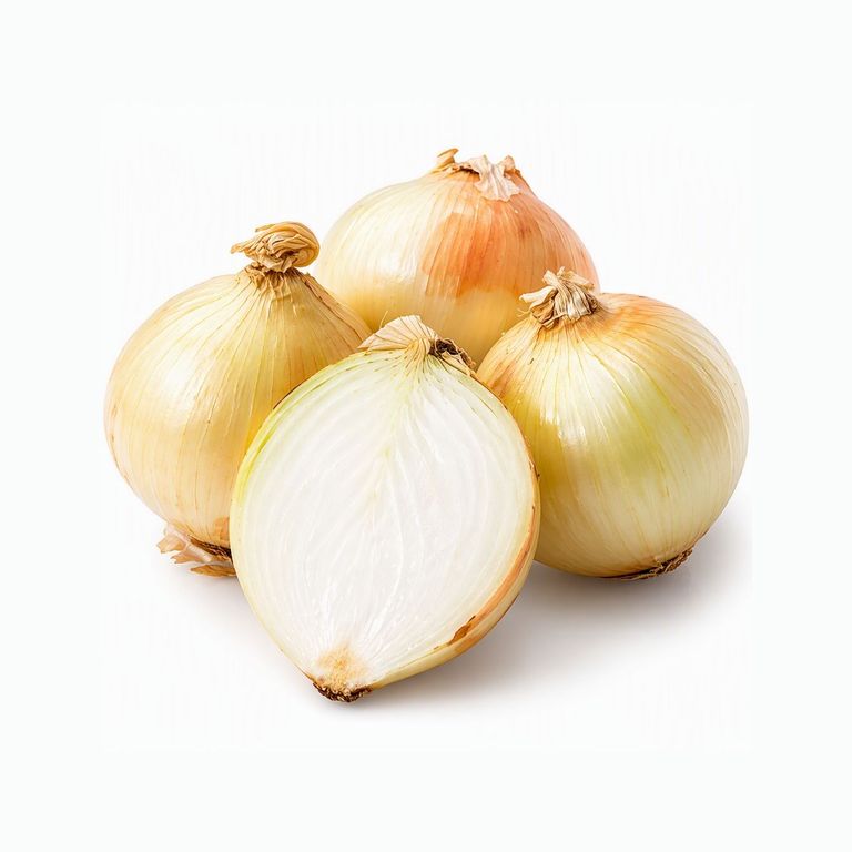 Cebolla Blanca Tottus