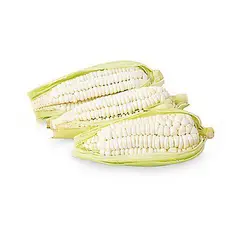 TOTTUS VERDURAS - Choclo Serrano Selecto Tottus