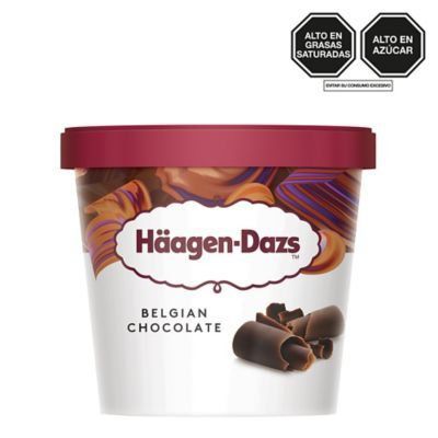 Helado Haagen Dazs Mini Cup Chocolate Belga Pote 100 mL