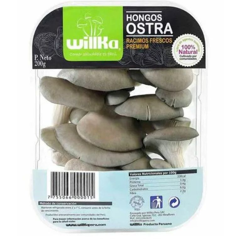 Hongos Ostra Willka x 200 g