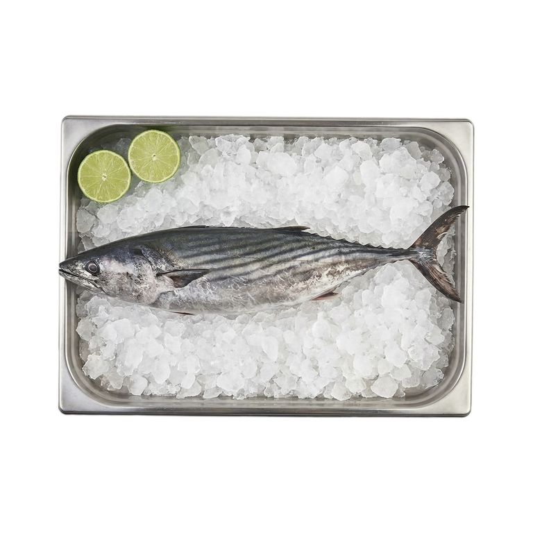 Bonito Entero Congelado x Kg