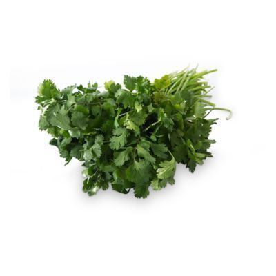 Culantro Tottus