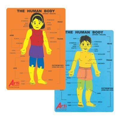 Juego Didáctico Arti Creativo Encaje Cuerpo Humano