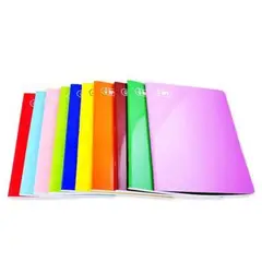 LORO - Cuaderno Cuadrimax 2 x 2 Loro Deluxe 80 Hojas