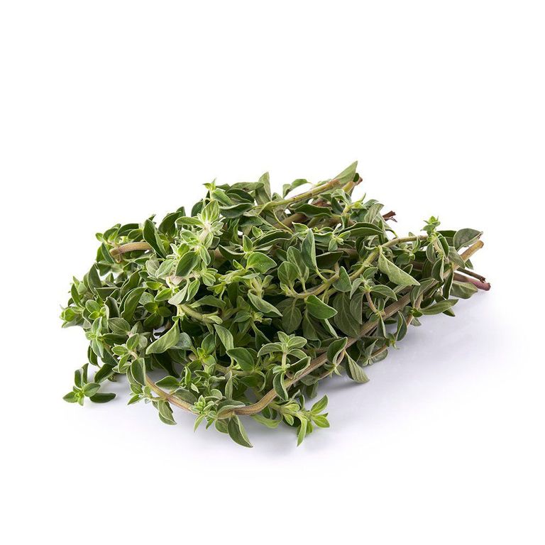 Orégano Tottus