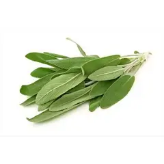 TOTTUS VERDURAS - Salvia Tottus