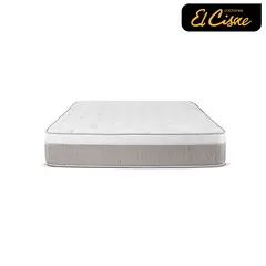 EL CISNE - Dinamic 2 Plz