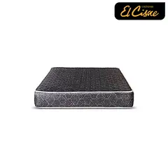 EL CISNE - BASIC 1 PLZ