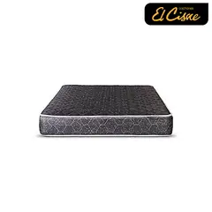 EL CISNE - Basic 1.5Plz