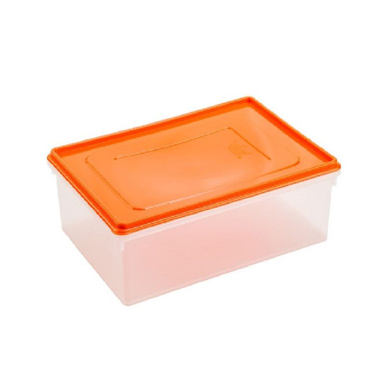 Caja Conservadora Rey Nro 5