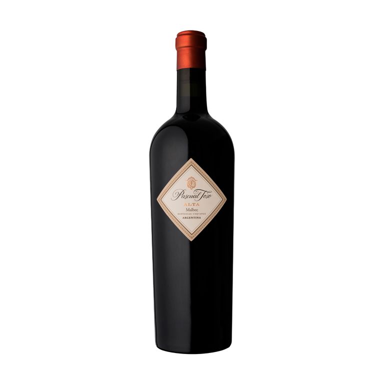 Vino Pascual Toso Tinto Malbec Alta Botella 750 mL