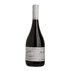 CASAS DEL BOSQUE - Vino Casas Bosque Pinot Noir Producciones 750 ml