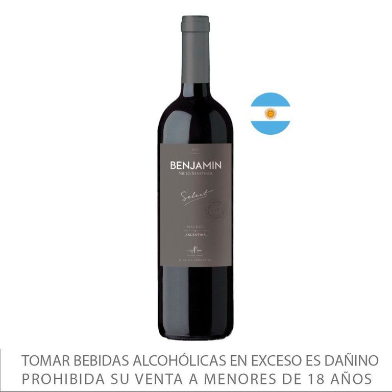 Vino Tinto Benjamin Malbec Botella 750 mL