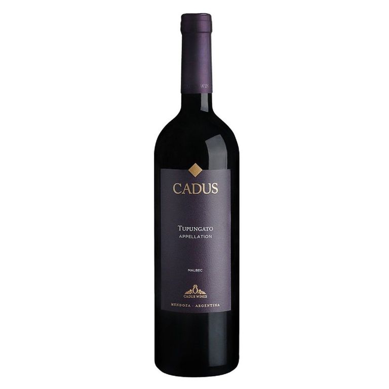 Vino Tinto Nieto Senetiner Tupungato Malbec Botella 750 mL