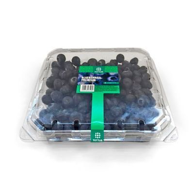 Arándanos x 500 g