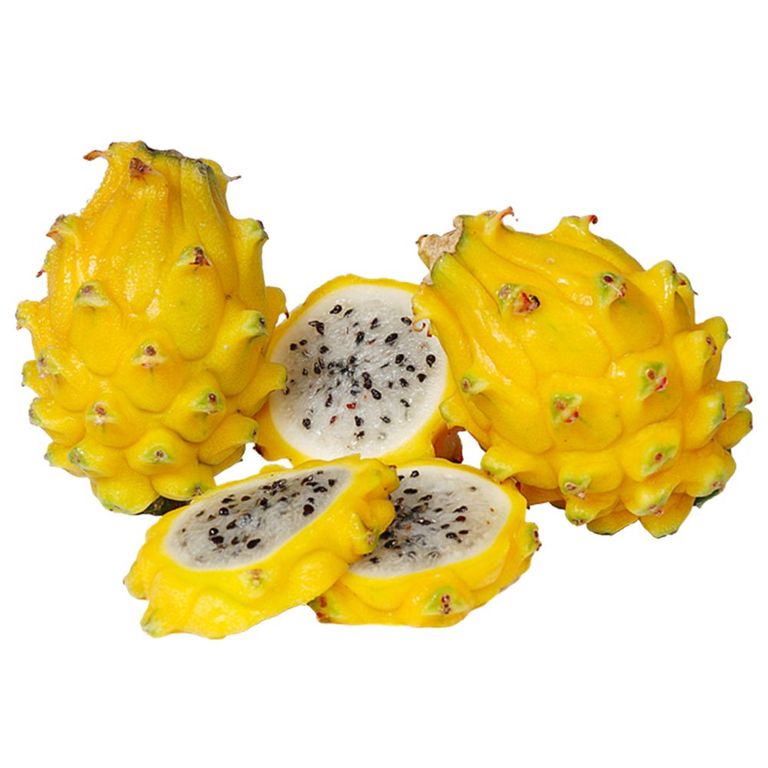 Pitahaya Tottus