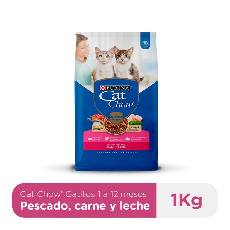 Alimento Seco Gatitos Cat Chow Carne Pescado Leche Bolsa 1 Kg