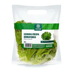 TOTTUS VERDURAS - Lechuga Crespa Verde Hidropónica Tottus