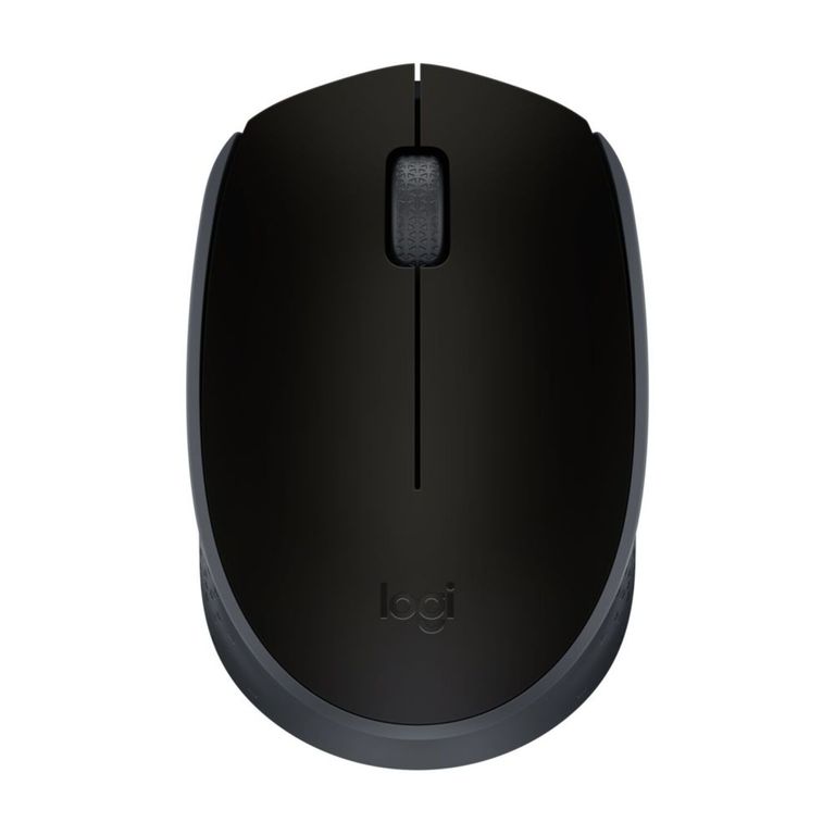 Mouse Inalámbrico Logitech M170 Negro