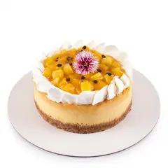 TOTTUS - Cheesecake Maracumango Pettit