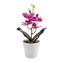 undefined - Planta Art Orquideas 8H Surt