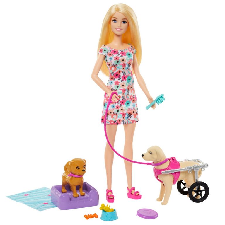 Barbie Paseo Perrito con Silla de Ruedas
