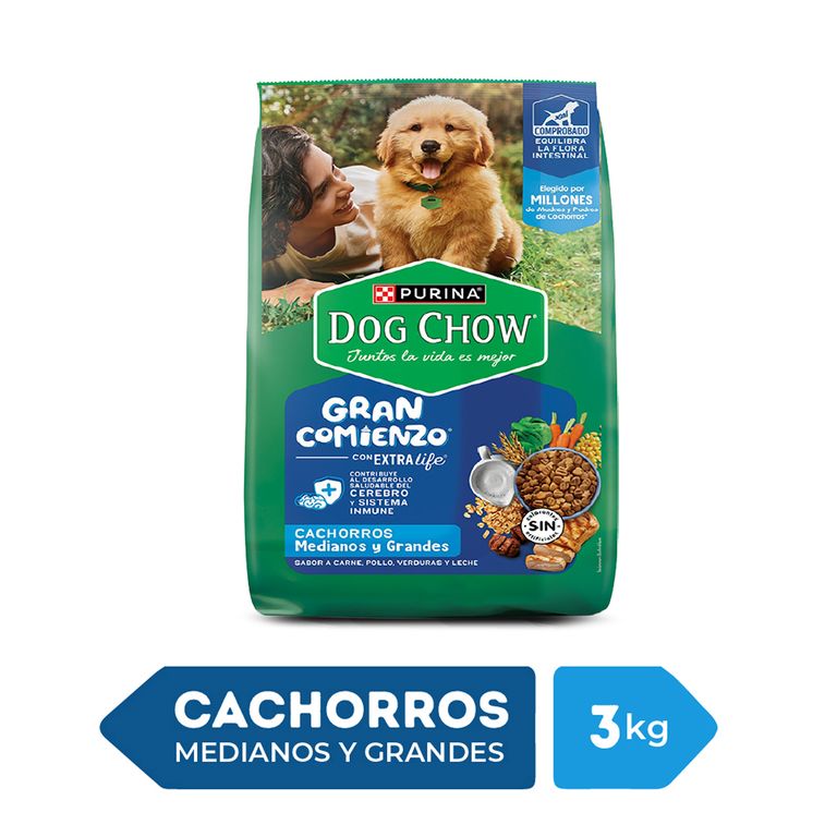 Alimento Seco Cachorros Grandes Dog Chow Carne Pollo Bolsa 3 Kg