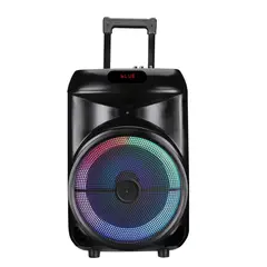 PROLINK - Parlante Trolley 8W Prolink con Micrófono