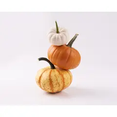 TOTTUS - Minicalabazas Halloween x Un