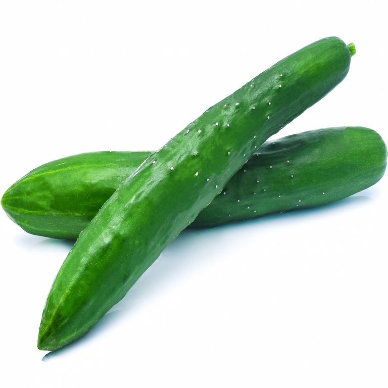 Pepinillo Japonés x Un