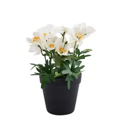 undefined - Planta Art Flores 8H