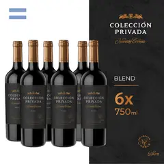 NAVARRO CORREAS - Vino Tinto Navarro Correa Blend Sixpack Botella 750 mL