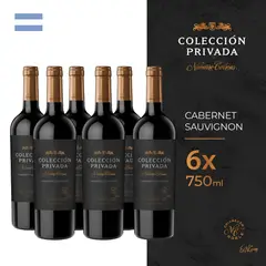 NAVARRO CORREAS - Vino Navarro Correa Cabernet Sauvignon Sixpack Botella 750 mL